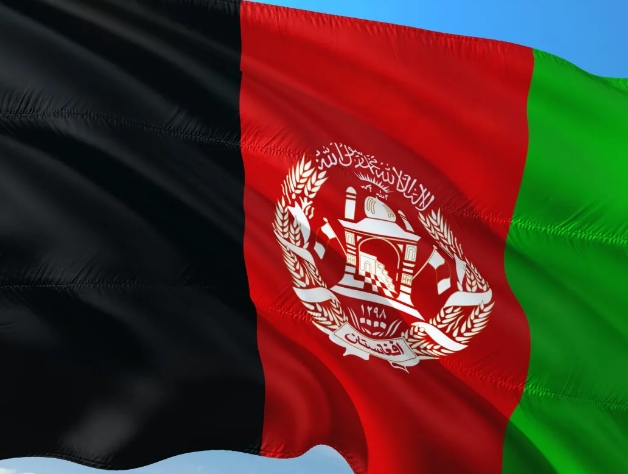 阿富汗海关数据查询平台（附免费试用查询）