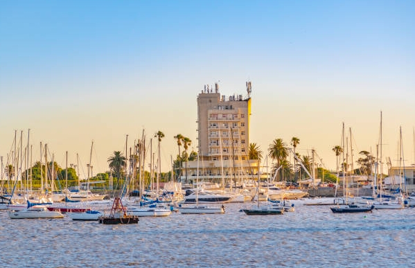 乌拉圭海关数据查询平台（附免费试用查询名额)