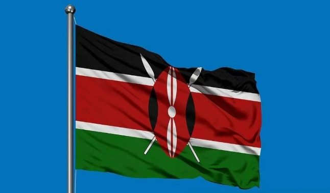 肯尼亚海关数据查询平台（附免费试用查询名额）